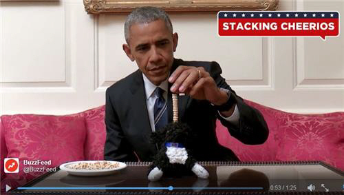 강아지 인형 위에 치리오스 과자 쌓기를 시도하는 오바마 대통령의 모습./출처=버드피즈 트위터 캡쳐