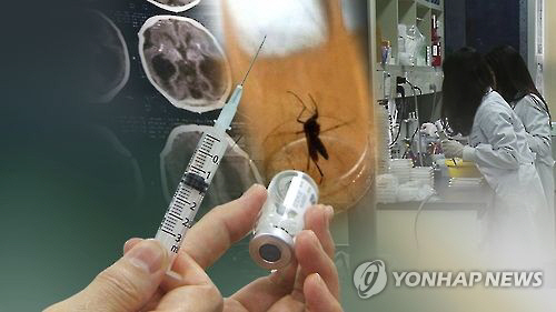 지카바이러스에 대항하는 백신으로 사용가능한 후보 물질이 개발됐다./출처=연합뉴스