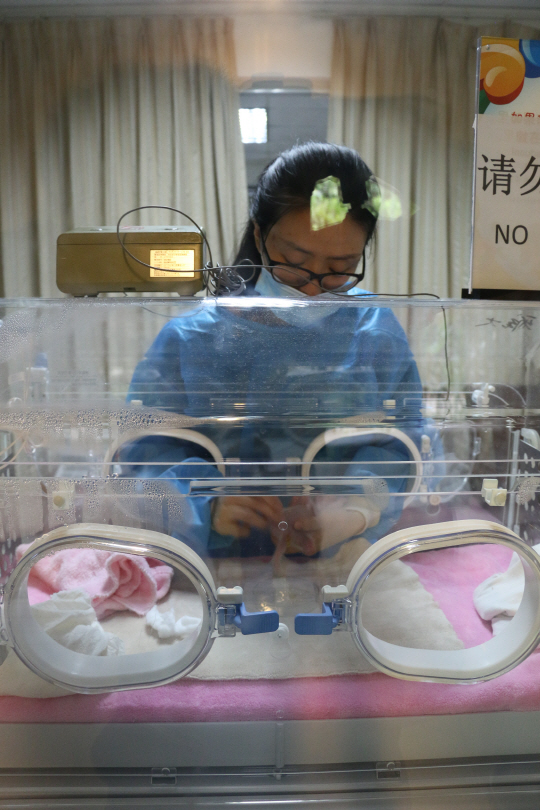 청두판다기지의 판다산부인과에서 한 연구원이 신생아 판다를 돌보고 있다.