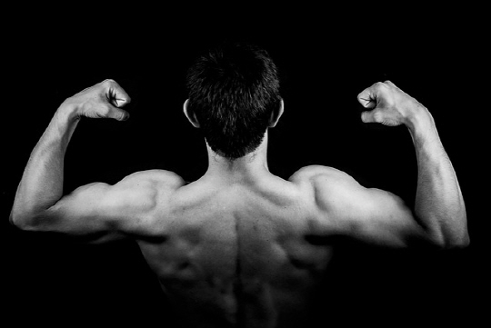 '상상 운동'만으로 근육 단련 효과 입증