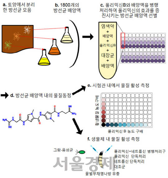 병원 내 감염 등 사회적으로 문제가 되고 있는 슈퍼박테리아를 퇴치할 수 있는 기술이 국내 연구팀에 의해 개발됐다./사진제공=미래창조과학부