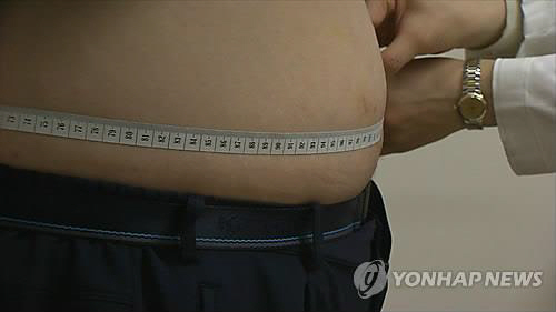 우리나라 비만 인구가 갈수록 늘어나고 있다. /사진=연합뉴스