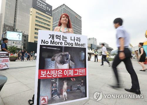 25일 서울 광화문 광장에서 1인 시위를 한 영국인 마들린 워런./출처=연합뉴스