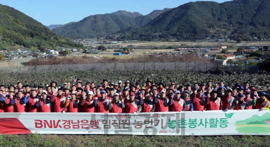 BNK 경남은행이 사회공헌 활동으로 농촌 봉사활동을 펼치고 기념촬영을 하고 있다. /사진제공=경남은행