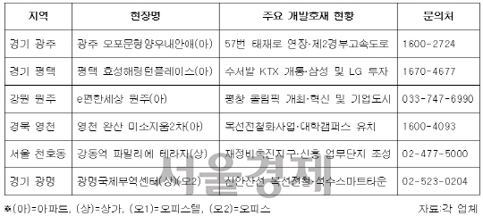 [서울경제TV] 하나보단 둘이 좋아… 멀티 개발호재 품은 분양단지는