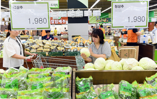 최근 서울의 한 농산물전문 대형마트에서 소비자들이 물건을 살피고 있다. /서울경제DB