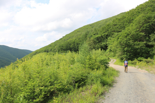 해발 1,100m 산허리를 연결한 옛 운탄고도의 모습. 석탄을 가득 실은 트럭들이 이 길을 메웠다.