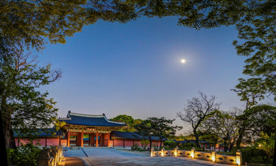 창덕궁 달빛기행 15일 재개, 도심 속 고궁 전통 만끽 ‘기대감↑’