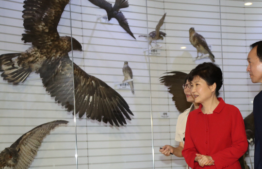 박근혜 대통령이 4일 충남 서산의 서산버드랜드 철새박물관을 방문해 해설사로 새에 대한 설명을 듣고 있다. /서산=연합뉴스