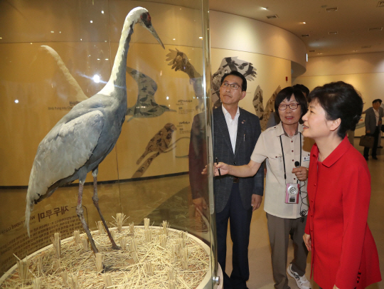 박근혜 대통령이 충남 서산의 서산버드랜드 철새박물관을 방문해 전시실을 관람하고 있다. /서산=연합뉴스