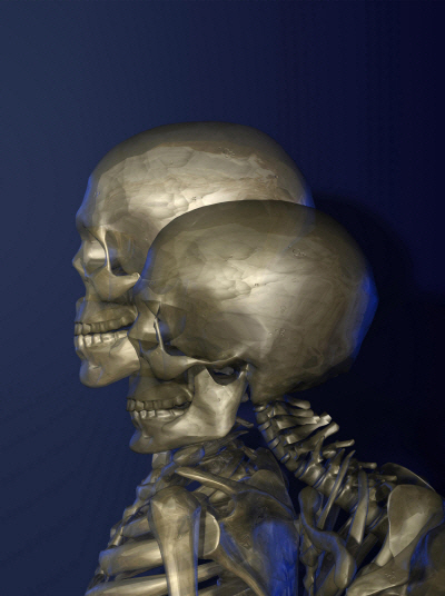 김두진의 ‘켄무디와 로버트 셔먼’은 인물의 외피를 벗겨내고 뼈대만 남긴 이미지를 통해 인종 및 다양한 외형적 조건을 제거한 본질을 들여다보게 한다. /사진제공=서울국제뉴미디어페스티벌