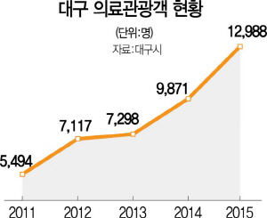 3115A31 대구의료관광객