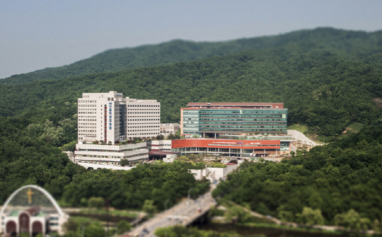 분당서울대학교병원./출처=분당서울대학교병원 공식 홈페이지