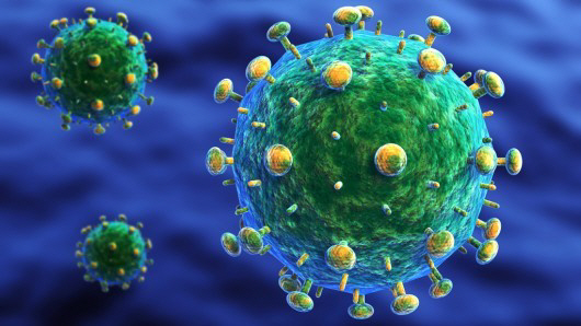 에이즈 바이러스. 에이즈 바이러스가 무서운 것은 인플루엔자  바이러스 처럼 변종를 자꾸 만들기 때문이다.