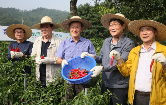 허창수(가운데) 전국경제인연합회 회장이 7일 자매마을인 경기도 양평 화전마을을 찾아 주민들과 함께 고추 따기 체험을 하고 있다./사진제공=전경련