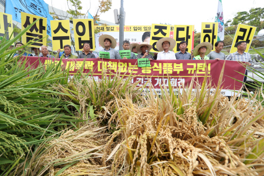 전국농민회총연맹과 (사)전국쌀생산자연맹 회원들이 12일 오전 정부세종청사 농림축산식품부 앞에서 볏단을 쌓아 놓고 쌀값 안정을 위한 밥쌀 수입 중단을 촉구하고 있다. 이날 전북지역에서는 농민들이 쌀값 폭락에 항의해 논을 갈아 엎는 행사도 펼쳤다. /세종=연합뉴스