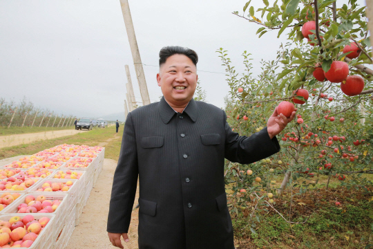 미국 일간 월스트리트저널이 김정은 북한 노동장 위원장이 김일성의 정책을 따라 하고 있다며 ‘노련한 독재자’라고 평가했다. /연합뉴스