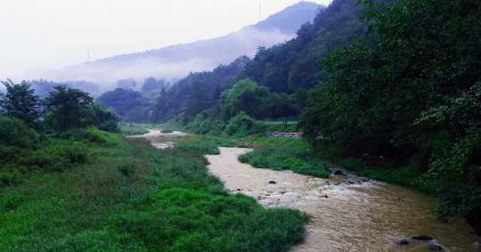 새벽에 찾은 주천강은 전날 내린 비로 흙탕물이 흐르고 있었다. 물길은 치악산에서 발원해 서쪽으로 향한 후 남한강과 합류한다.