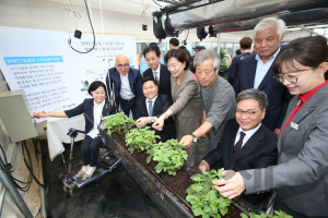 KT가 사회복지공동모금회와 함께 경기도 남양주 서울시립 장애인 영농직업 재활시설에 장애인 맞춤형 스마트팜을 구축했다고 27일 밝혔다.   비닐하우스 내외부 센서를 통해 온도, 습도를 감지하고 작업시 스마트폰으로 높이를 조절할 수 있는 ‘행잉배드’를 설치했다. 사진은 KT IT서포터즈 등 관계자들이 경기도 남양주 서울시립 장애인 영농직업 재활시설에서 장애인 맞춤형 스마트팜에 대해 설명을 듣고 체험하고 있는 모습./사진제공=KT