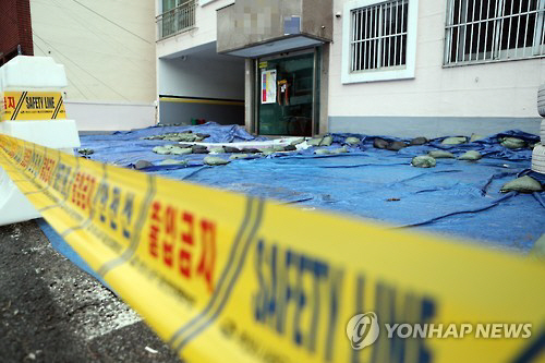 부산 4층 빌라 ‘기우뚱’…사상구청장 “폭우·지진 여파도 있는 듯”