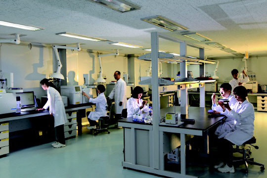 KGC인삼공사 연구소에서 연구원들이 홍삼 성분을 연구하고 있다./사진제공=KGC인삼공사