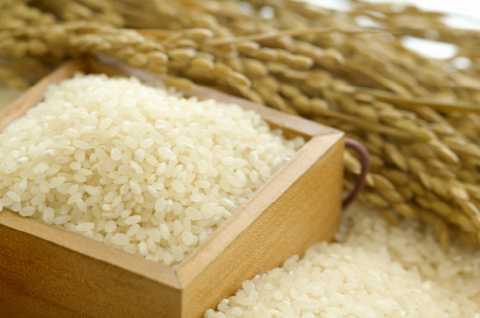 [뒷북경제] 밥 안 먹는 사회·· 딜레마에 빠진 쌀 정책