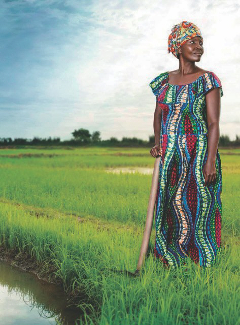콩고민주공화국 킹가브와에서 쌀 농사를 짓고 있는 테테 은조카. 그녀의 농장은 하이네켄의 아프리카 지역원료 사용 프로그램에 참여하고 있다.
