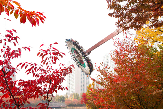 롯데월드의 ‘자이로스윙’이 가을바람을 가르며 단풍 속을 날고 있다.