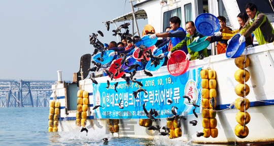 현대오일뱅크 임직원과 대산 지방해양수산청 직원, 지역 어민 대표들이 19일 충남 서산시 삼길포항 인근 해상에서 우럭 치어를 방류하고 있다. 이날 현대오일뱅크 임직원 100여명은 이 일대에서 15만마리의 우럭 치어를 방류하고 해변을 청소하며 지역 어족자원 보호활동을 펼쳤다. /사진제공=현대오일뱅크