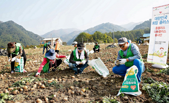 홈플러스 임직원들이 최근 강원도 인제군 인제읍 귀둔리마을을 찾아 마을의 대표 작물인 감자 수확을 돕고 있다. /사진제공=홈플러스
