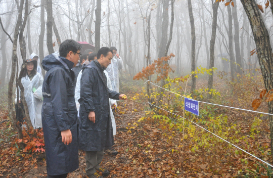 김용하(앞줄 왼쪽 두번째) 산림청 차장이 대관령 백두대간 등산로 정비 추경사업지를 찾아 정비상황을 점검하고 있다. 사진제공=산림청