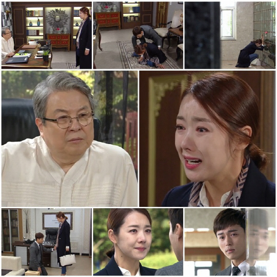 KBS 2TV 저녁일일드라마 <여자의 비밀>