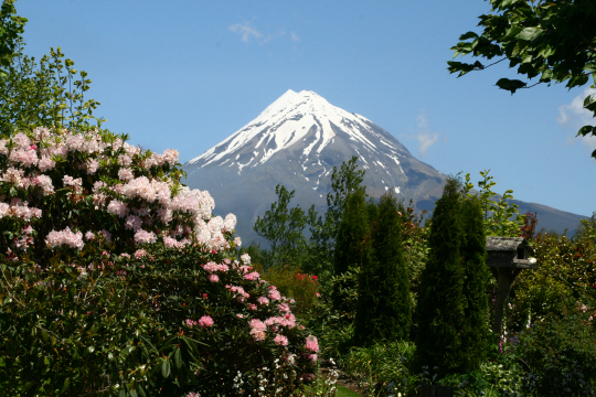 ▲ 타라나키 산과 정원 (Credit: Credit Powerco Taranaki Garden Spectacular)