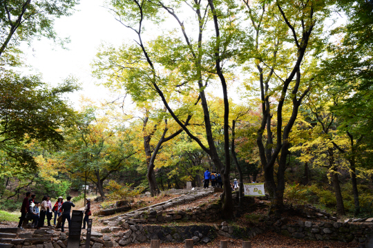 백석동천은 서울 종로구 부암동 115·117번지와 산 2·3번지 일대를 비롯해 상류에 건물 터 등이 남아 있는 별서 터다.