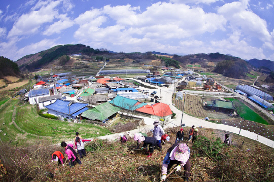 전북 장수 섶밭들마을. 사진제공=산림청