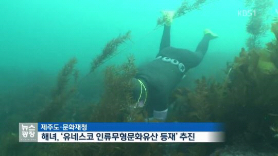 ‘제주 해녀 문화’ 유네스코 등재 사실상 확정 ‘한국의 19번째 인류무형문화유산’