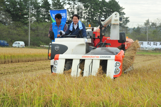 농협, 쌀값 안정 위해 ‘묵은 쌀’ 투매 막기 나선다