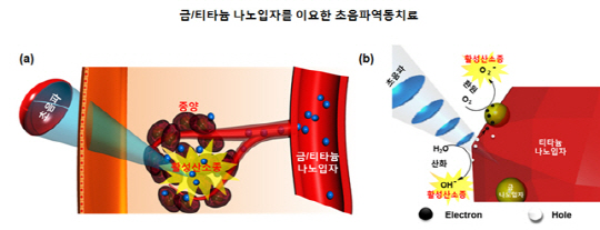 생체 내 주입된 나노로봇은 인체 내 종양을 찾아내며, 외부에서 초음파 자극을 통해 종양에 접근한 나노로봇을 제어해 종양을 제거한다. /자료=미래창조과학부