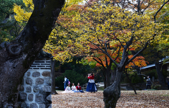 단풍이 든 창덕궁에 고운 한복을 차려입은 10대들이 몰려다녔다. 한복을 입고 궁을 찾아 사진을 찍는 것은 그 또래의 유행이다.