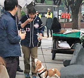 리퍼트 美대사 광화문 시위현장 포착, 외교부 “시민 집회 동향 보기위해 나간 듯”