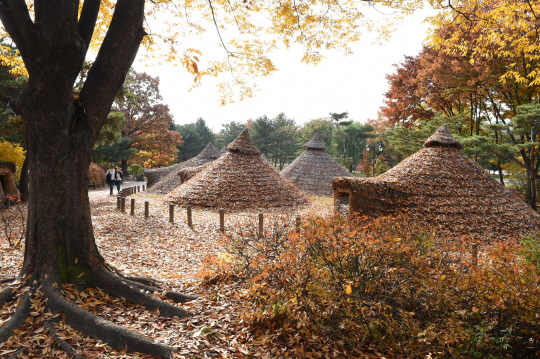 서울 암사동 선사유적지의 단풍. /사진제공=서울시