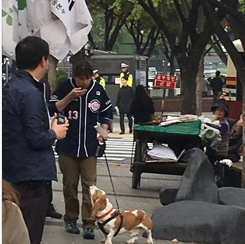 리퍼트 美대사, 반려견과 광화문 촛불집회 등장…그 이유는?