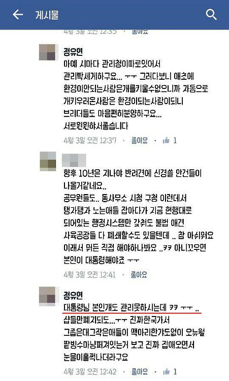 최순실씨 딸 정유라씨는 반려동물 관련 페이지에서 “대통령님 본인 개도 관리 못 하시는데…”라는 댓글을 남겼다. /연합뉴스