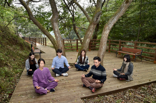 국립산림치유원 숲길 데크에서 산림치유프로그램 참가자들이 산림치유지도사의 지도 아래 명상을 하고 있다. /사진제공=산림청