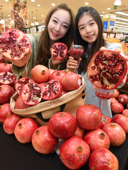 15일 오전 롯데마트 서울역점에서 모델들이 왕석류를 선보이고 있다. 창사 37주년을 맞은 롯데마트는 오는 17일부터 23일가지 일주일 동안 미국 캘리포니아에서 재배돼 높은 당도를 자랑하는 왕석류(1개/450g 내외)를 개당 2,800원에 선보인다./송은석기자songthomas@sedaily.com