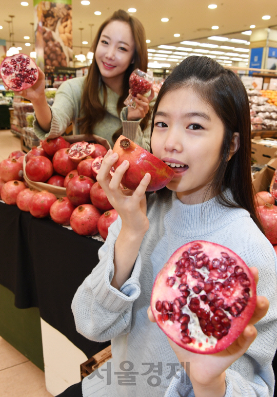 15일 오전 롯데마트 서울역점에서 모델들이 왕석류를 선보이고 있다. 창사 37주년을 맞은 롯데마트는 오는 17일부터 23일가지 일주일 동안 미국 캘리포니아에서 재배돼 높은 당도를 자랑하는 왕석류(1개/450g 내외)를 개당 2,800원에 선보인다./송은석기자songthomas@sedaily.com