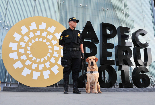 제24차 아시아태평양경제협력체(APEC) 정상회의 개막을 앞둔 페루 리마의 컨벤션센터 앞에서 17일(현지시간) 경찰과 폭발물 탐지견이 경계태세를 갖추고 있다. 19일부터 이틀간 열리는 APEC 정상회의에서는 도널드 트럼프 미국 대통령 당선인의 취임 이후 변화할 국제경제·정치 질서가 주된 의제로 다뤄질 것으로 전망된다. /리마=AFP연합뉴스