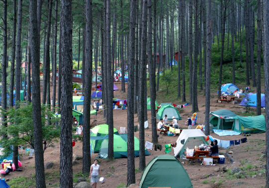 숲속야영장 이용객들이 텐트를 치고 가족들과 함께 캠핑을 즐기고 있다. /사진제공=산림청