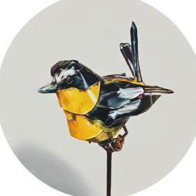 김수연 ‘흰눈썹황금새(tricolor flycatcher) 21’ /사진제공=아트스페이스 휴