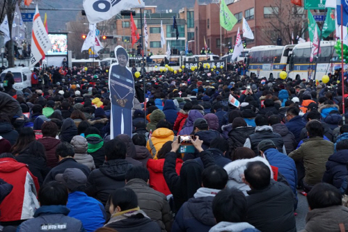 청와대 앞 100m에 핀 국화꽃…'박근혜 국가는 죽었다'